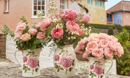 Portmeirion celebrates 100 years with exclusive Anniversary Collection