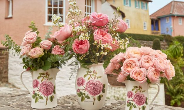 Portmeirion celebrates 100 years with exclusive Anniversary Collection