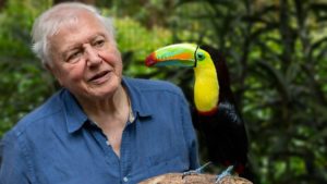 David Attenborough Life in Colour BBC announces brand new series presented by Sir David Attenborough