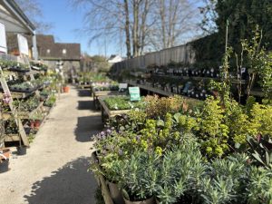 Garden Department Retailer Spotlight: Harts of Stur