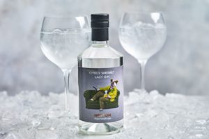 Heston from Waitrose Citrus Sherbet Lazy Gin cropped 1 John Lewis Partnership posts festive trading results