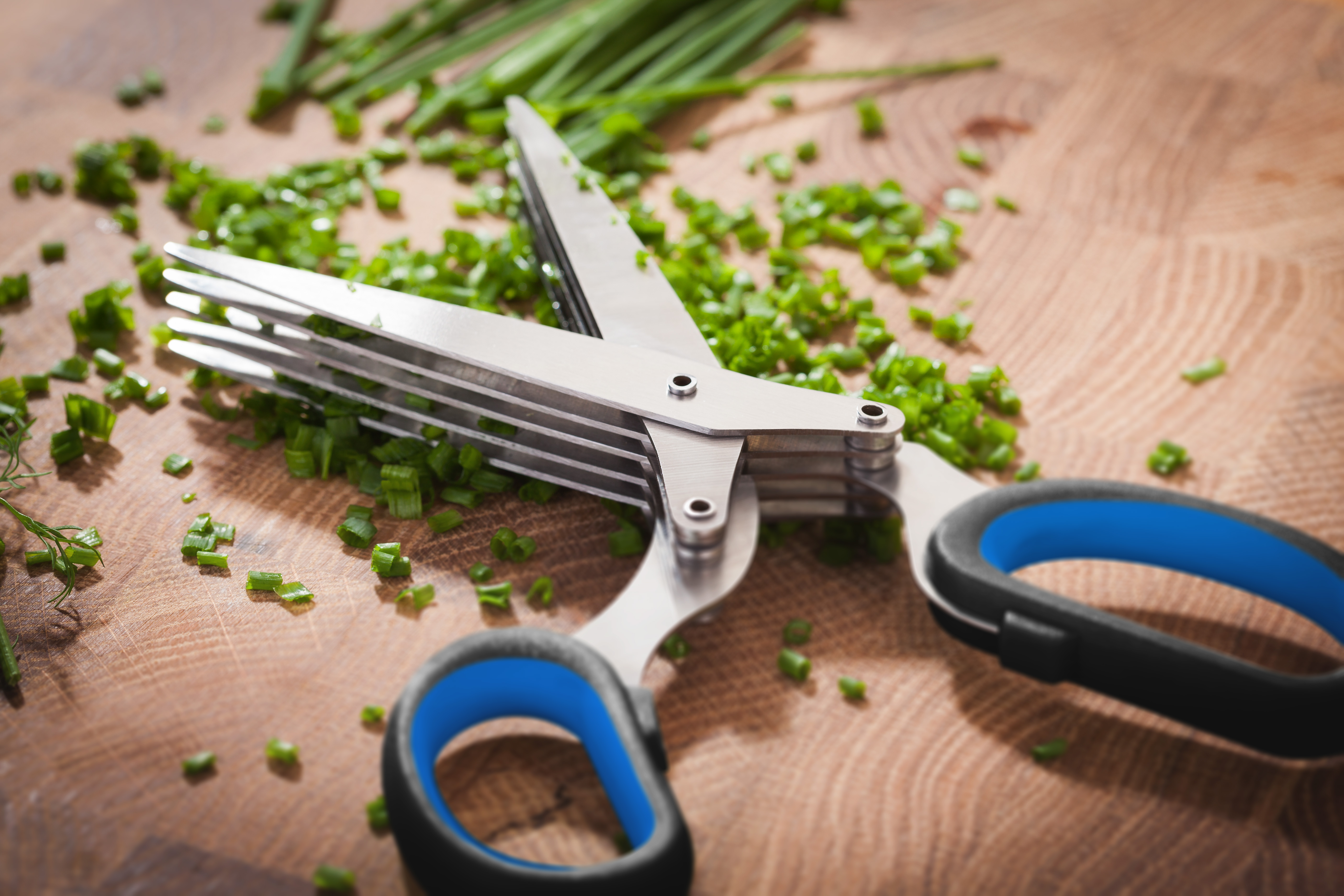 Judge Herb Scissors – the new addition to the Judge Scissor Collection