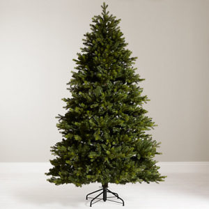 John Lewis Brunswick Spruce Christmas Tree Biggest ever sales week for John Lewis