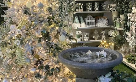 British Garden Centres reveals Christmas themes for 2024