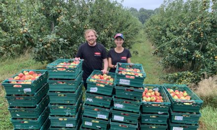 OXO reinforces commitment to 1% for the Planet by volunteering at FareShare