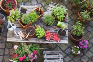 Plant pots 2 Laid back summer days cost Brits £1.5bn in garden thefts