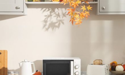 The Haden Starbeck Collection Now with Matching Microwave