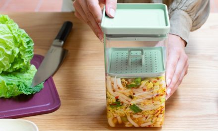 Brabantia’s Tasty+ Fermentation Kit