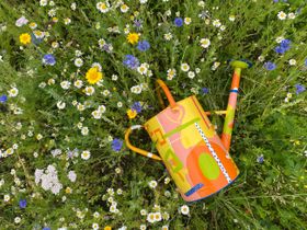 New brands, new sessions, new trends, new initiatives at Top Drawer