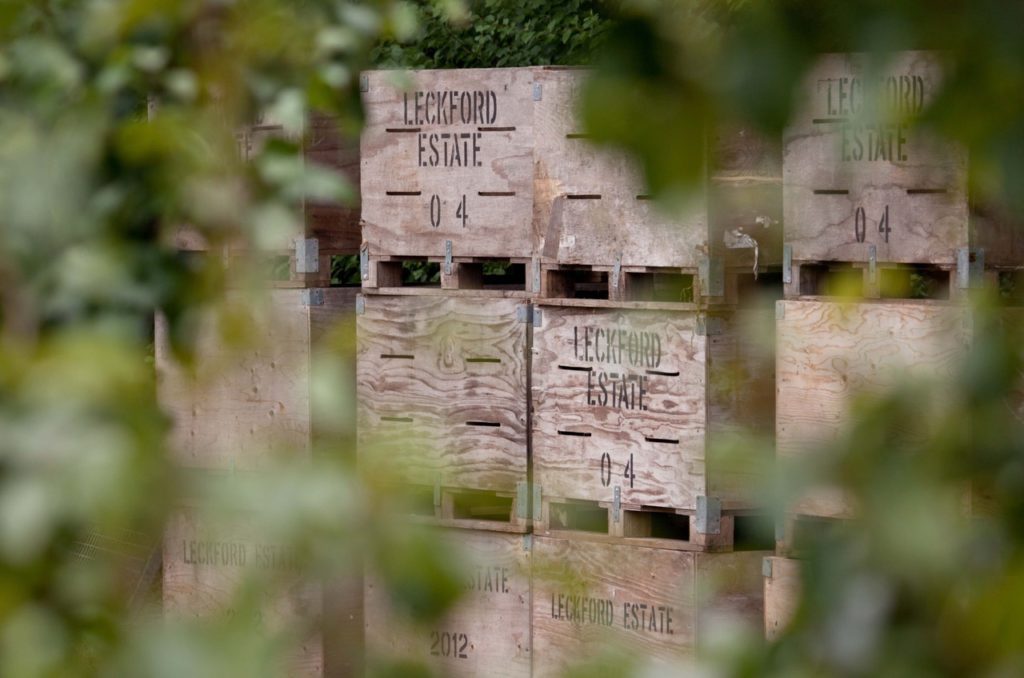 Waitrose & Partners plants truffle orchard in supermarket first