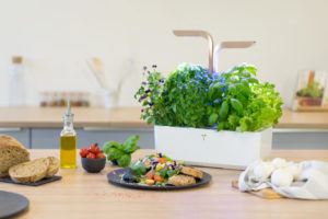 VERITABLE potager interieur scène CONNECT6 HAUS to distribute Véritable in the UK