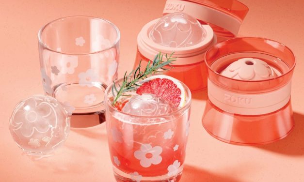 ZOKU Daisy Cocktail Set