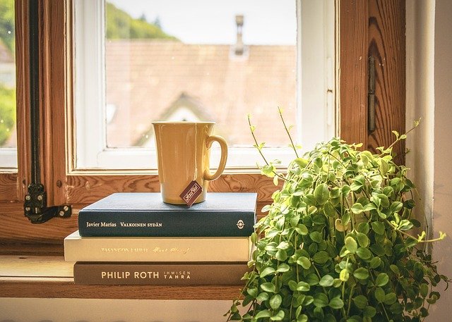 The humble houseplant: a must-have home accessory