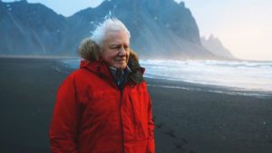 david attenborough brighter Sir David Attenborough makes surprise onstage appearance at Glastonbury to launch new series ‘Seven Worlds, One Planet’