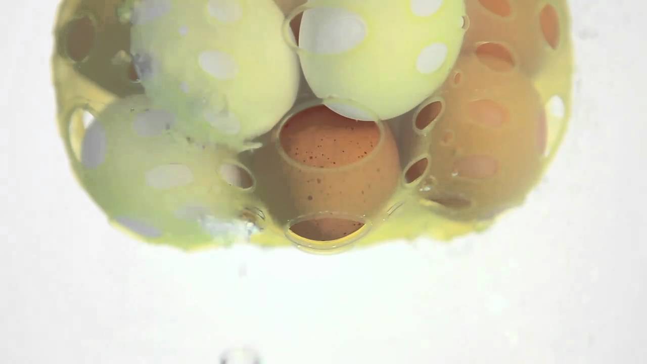 Fusionbrands Foodpod