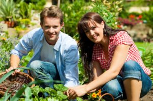 gardening couple cropped 2 41 is the age Brits get into gardening, says poll