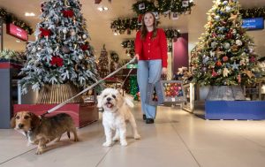 john lewis christmas shop oxford street london 2024 22 611a1 Christmas arrives at John Lewis