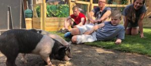 meat the family Channel 4 commissions Meat the Family