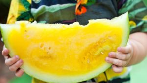 melon Tesco Melons replace pineapples as UK’s fastest growing favourite fruit