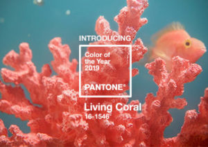 pantone color of the year 2019 living coral press release Pantone reveals its Colour of the Year 2019