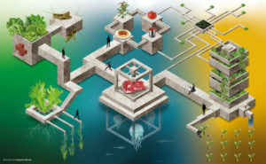 sainsburys future Sainsbury’s launches Future of Food report
