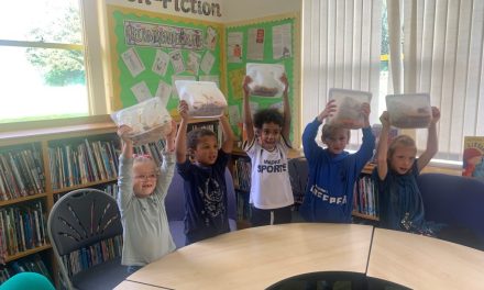 How housewares can change lives…