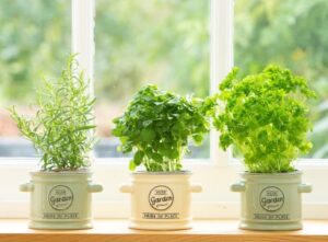 vcsPRAsset 3577472 282250 e5dd9cfc 25a5 4567 802d 3893bc797cc1 0 Exclusively 2021: T&G - responsibly sourced and UK designed