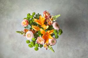 waitrose flowers Winter blooms prove popular at Waitrose